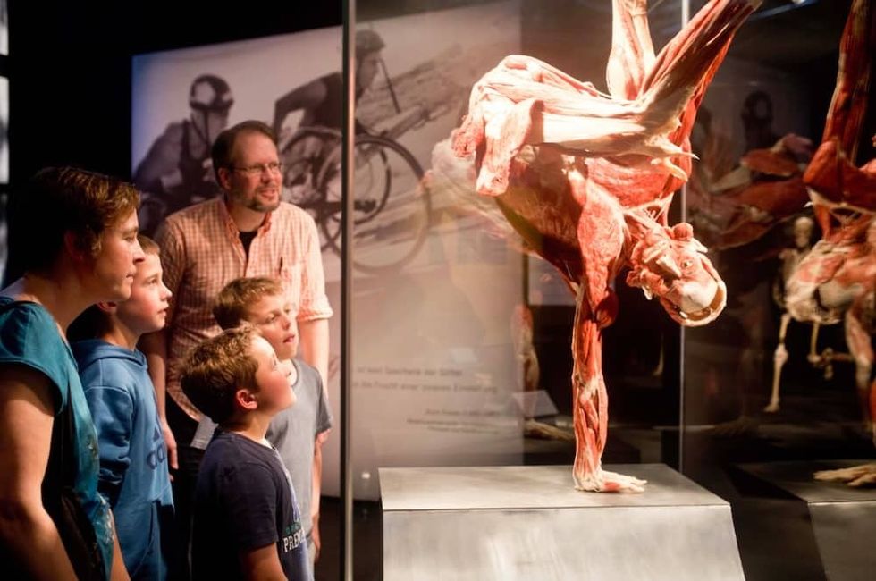 Body Worlds Skater shocking museum exhibitions