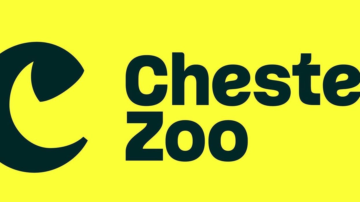 Bold "Chester Zoo" logo on a bright yellow background.