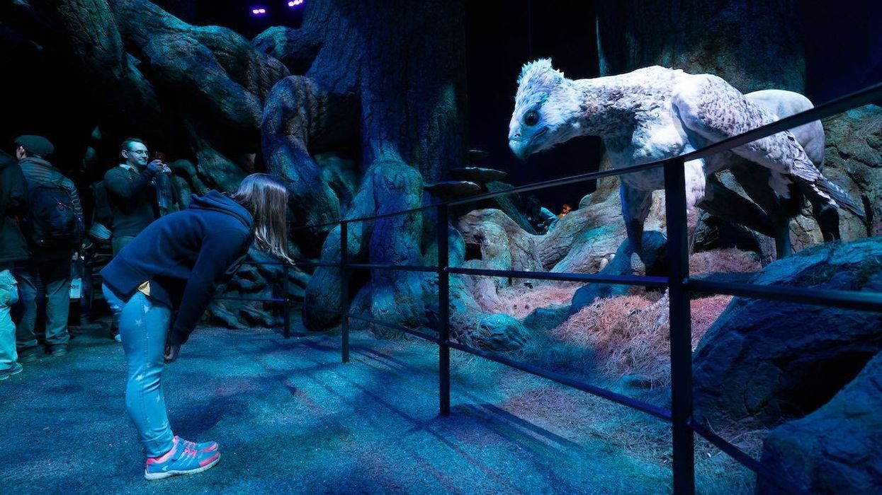 bowing to Buckbeak at forbidden forest warner bros harry potter jpeg