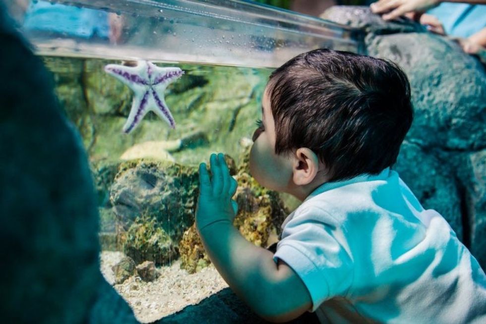 boy kissing starfish at SEALIFE Scheveningen