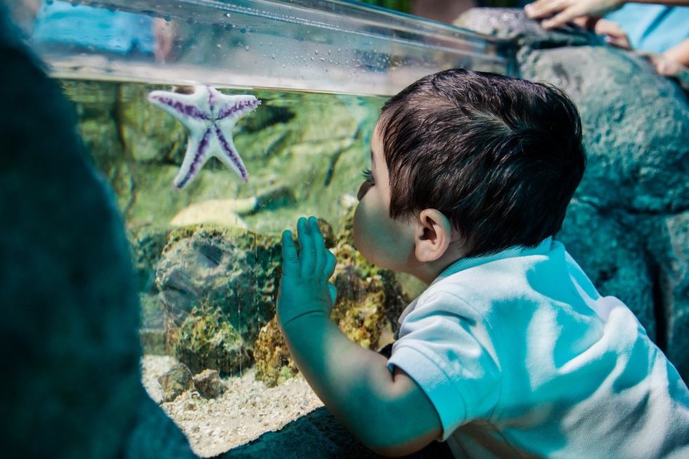 boy kissing starfish at SEALIFE Scheveningen