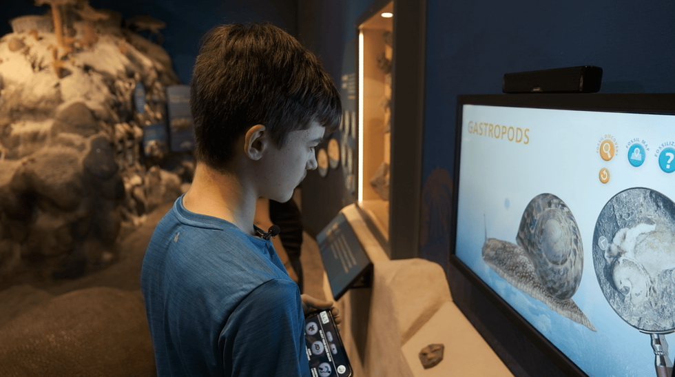 boy looking at screen access for all
