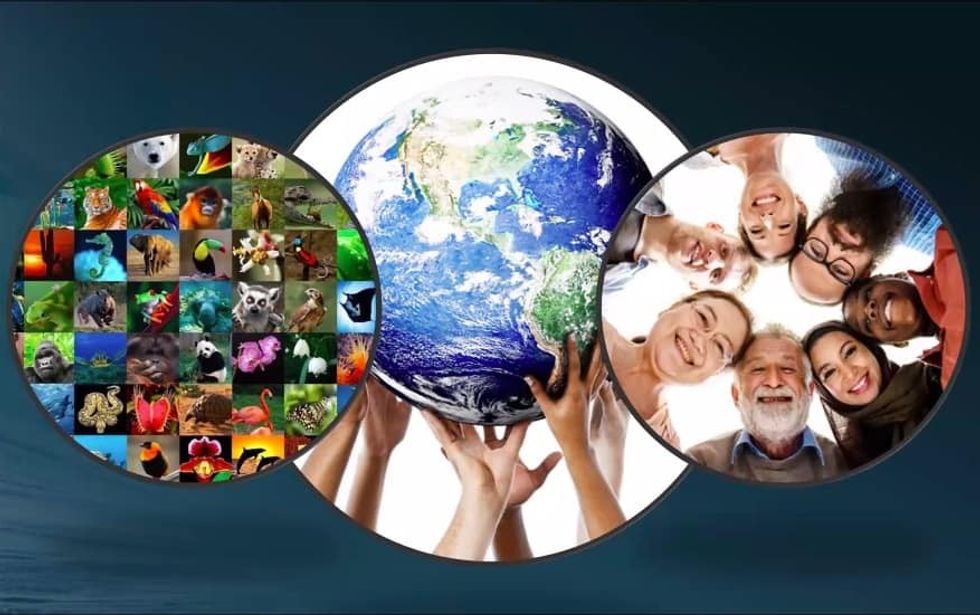 Brian Davis keynote WAZA annual conference 2021