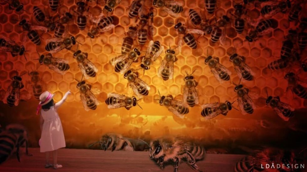 bristol zoo virtual zoo