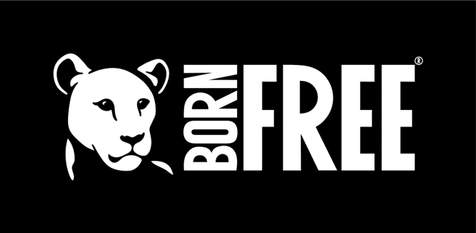 british airways born free