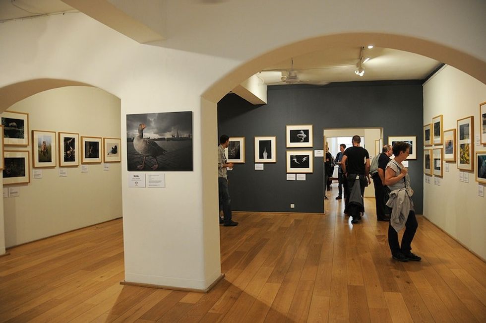 British Wildlife Photography Awards, London