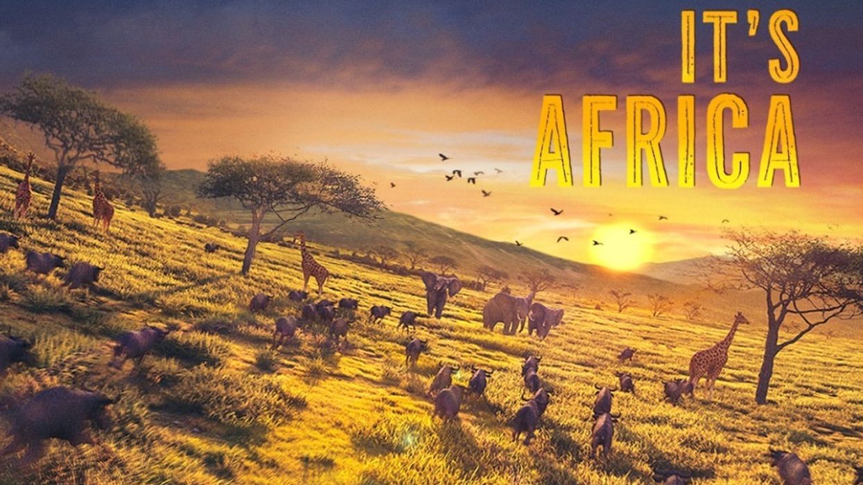 Brogent Technologies Its Africa