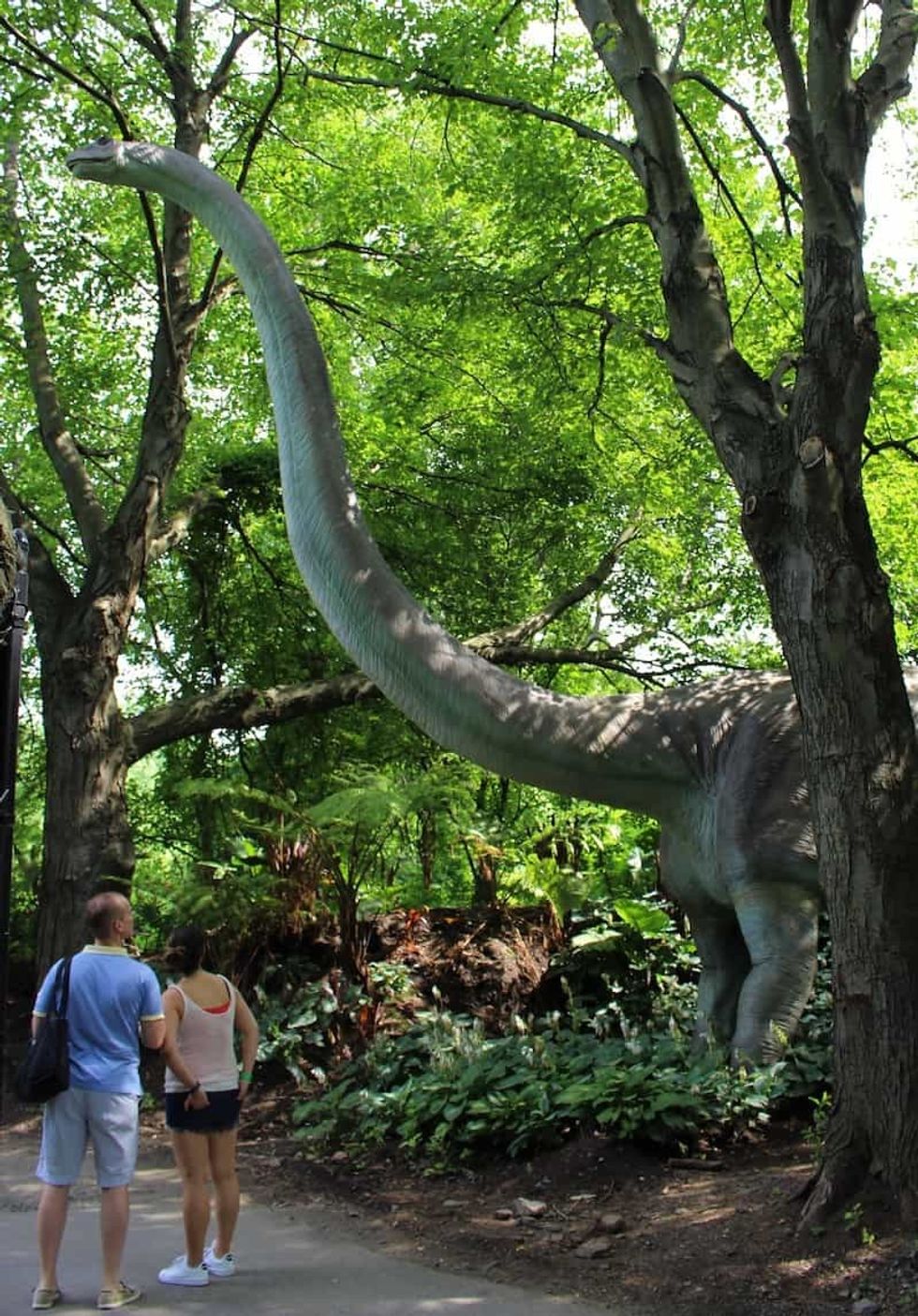 Brontosaurus dinosaur safari