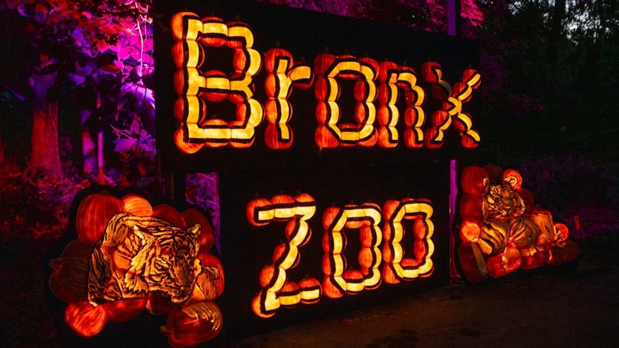 bronx zoo halloween