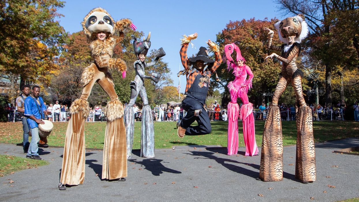bronx zoo halloween
