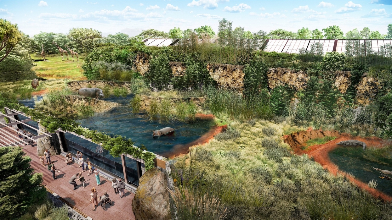 brookfield zoo next century plan