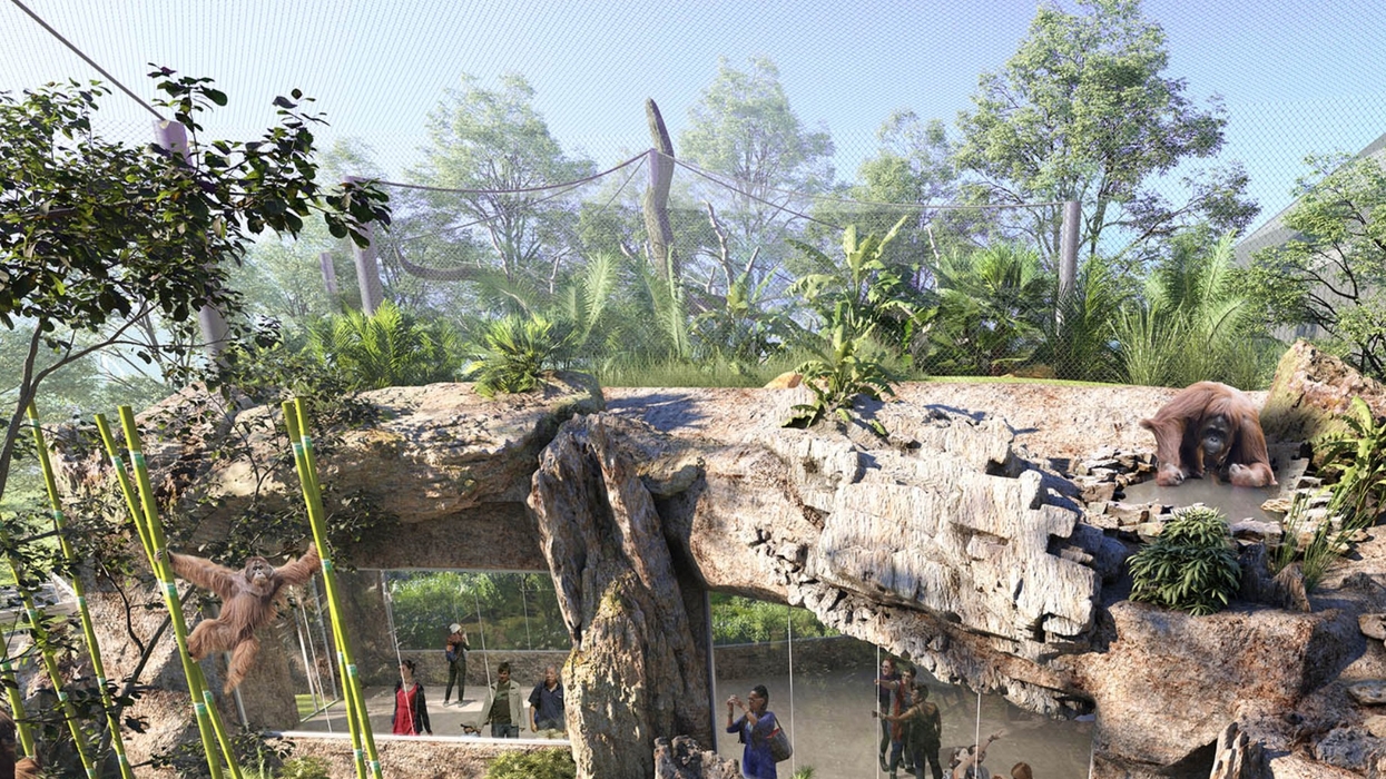 brookfield zoo tropical habitat