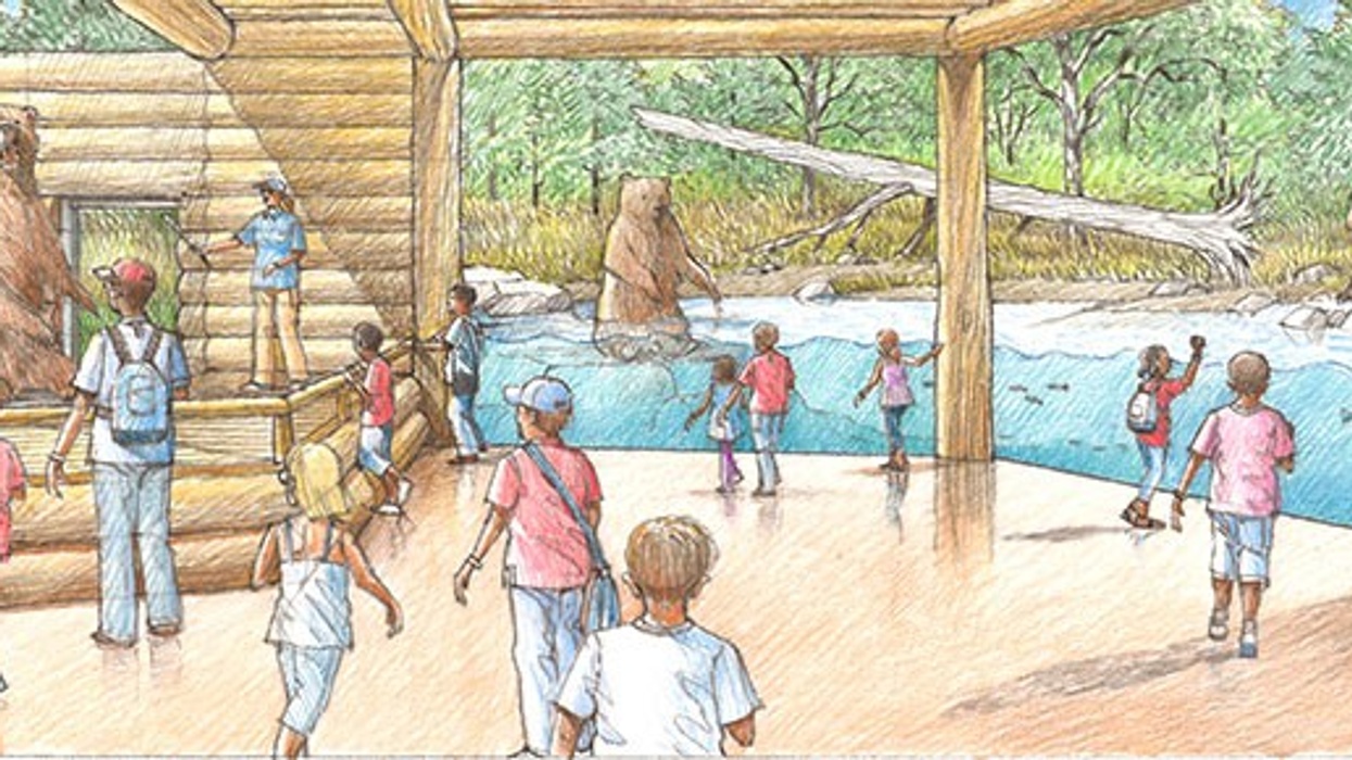 brown bear canyon great plains zoo