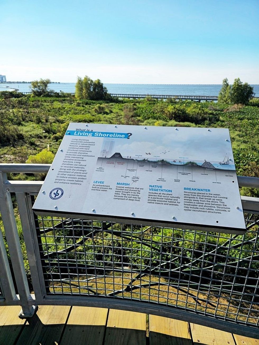 Bucktown Bird Nest living shoreline