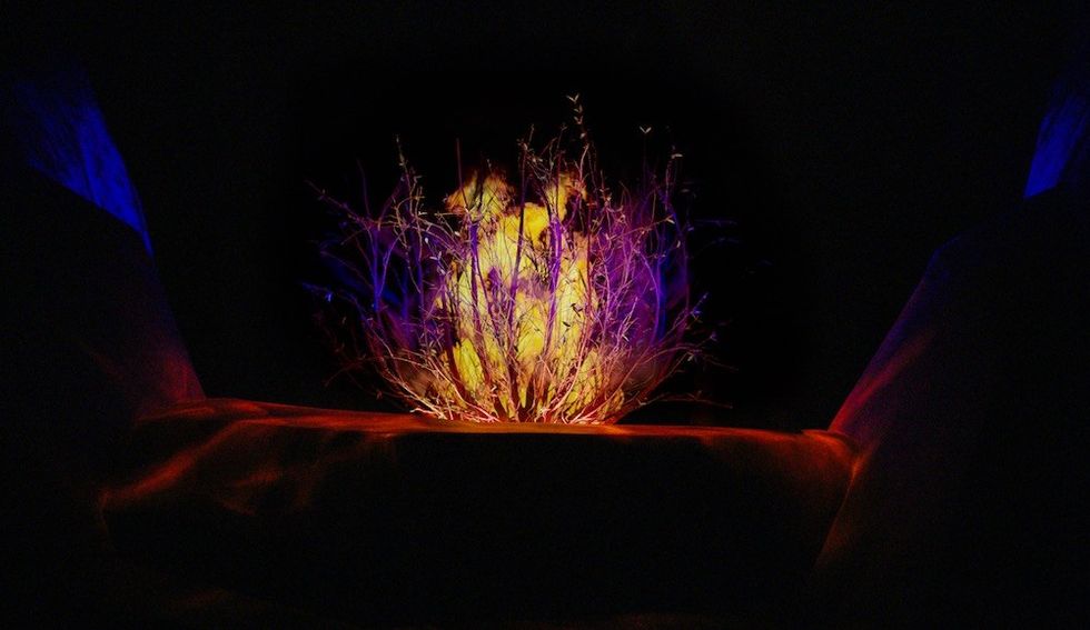 Burning Bush Technifex