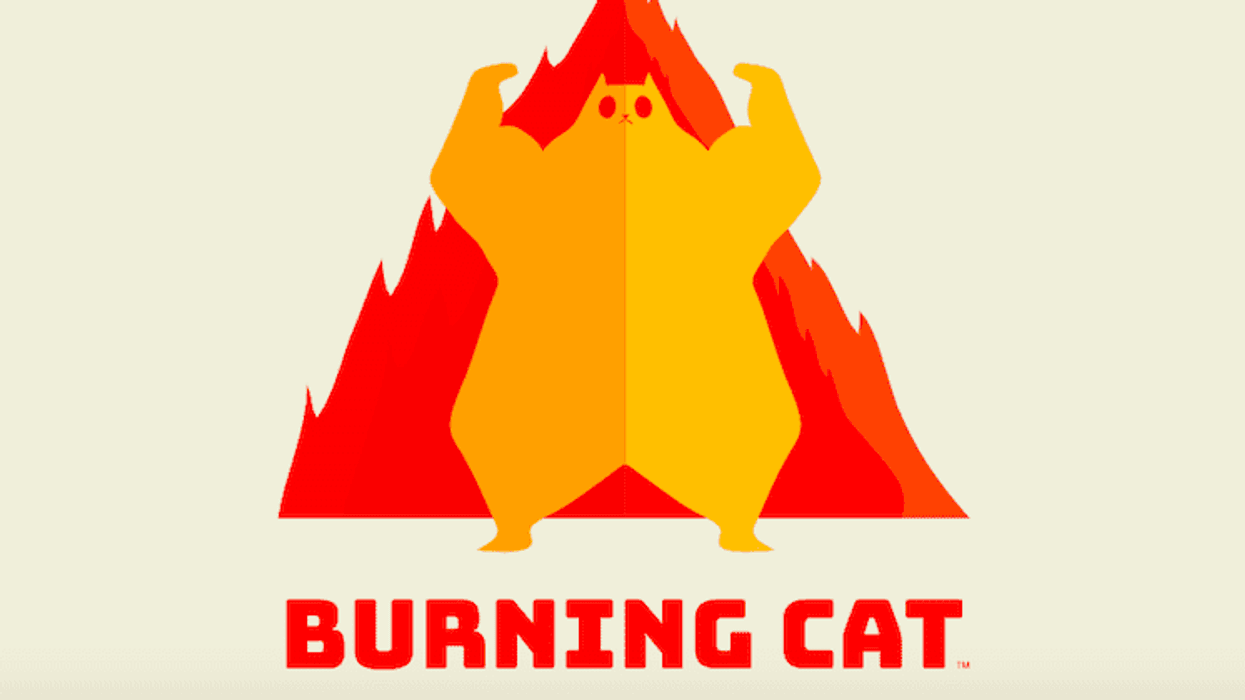 burning cat, exploding kittens