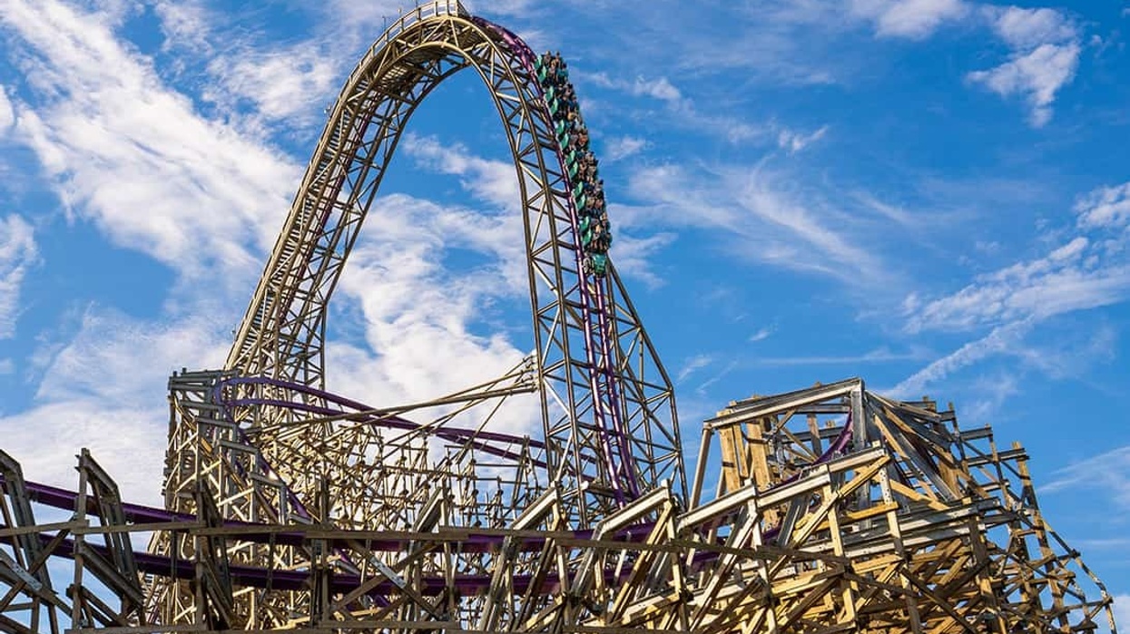busch gardens tampa bay iron gwazi