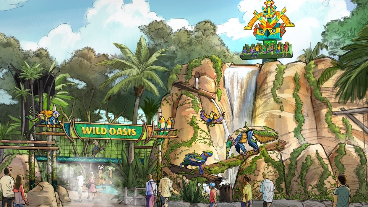 busch gardens tampa bay wild oasis