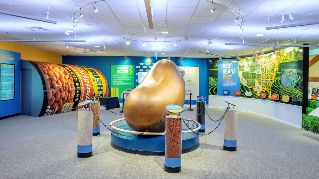 bush's baked beans museum