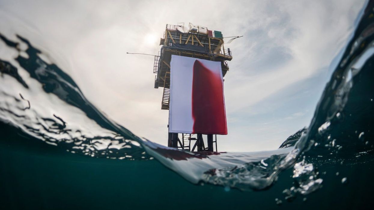 Butchered-Greenpeace-Anish-Kapoor