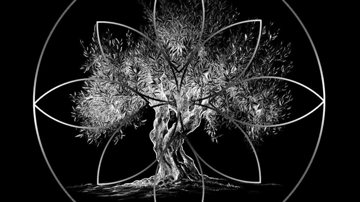 BWS Milan Design Week