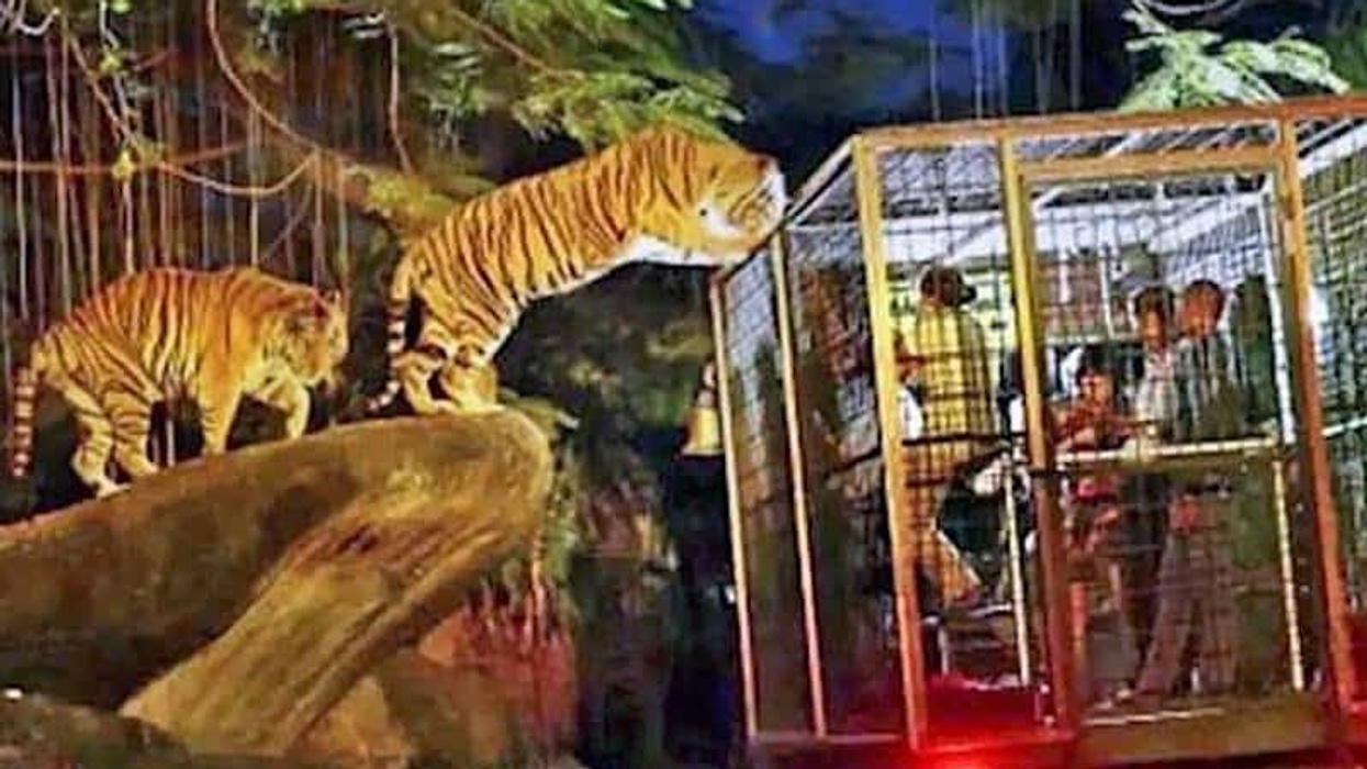 byculla zoo