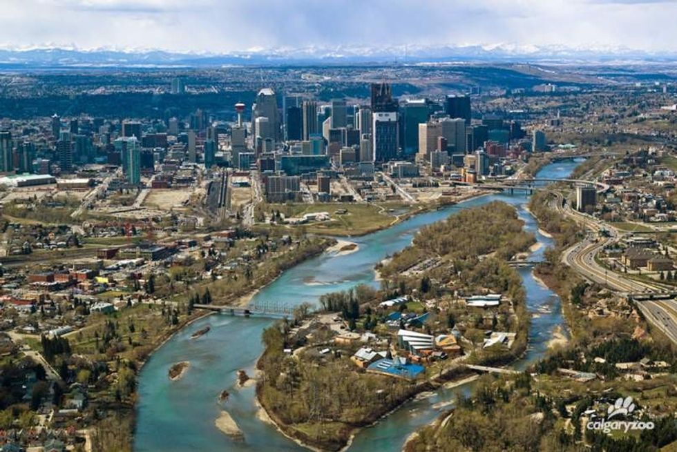 calgary zoo aerial shot