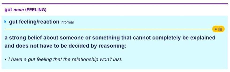 Cambridge Dictionary definition gut feeling