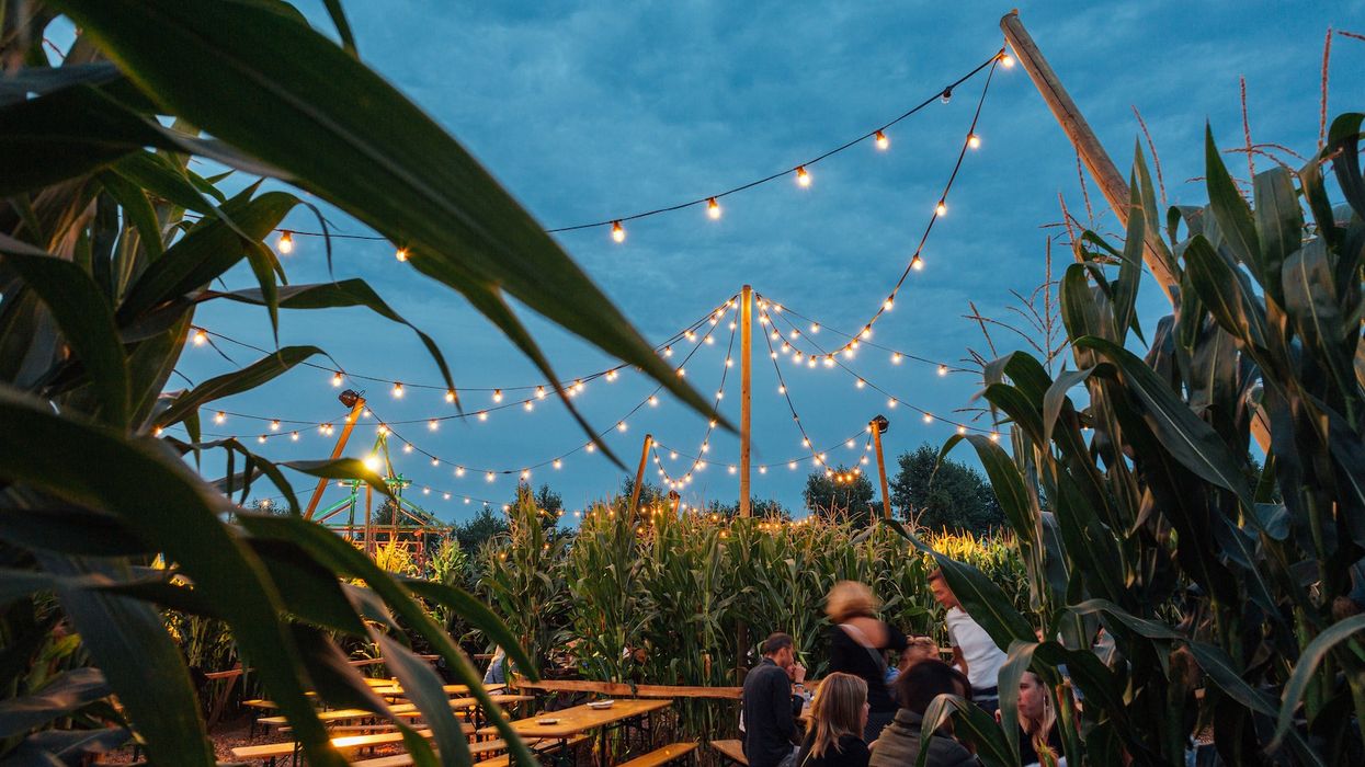 Campo Solar Festival Painting with Light