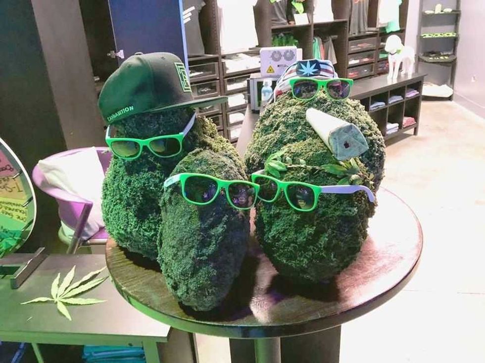 Cannabition, four lumps of cannabis people