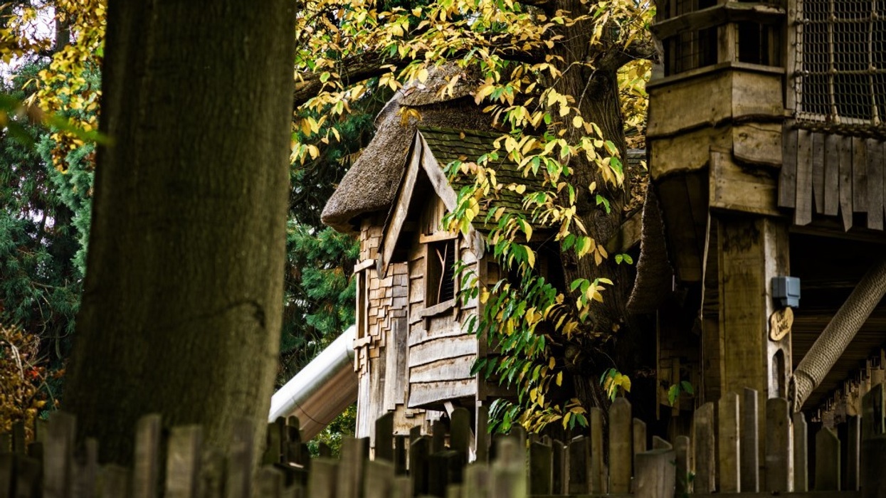 CAP.Co Windsor Great Park Adventure Play honour c. Kev Foster