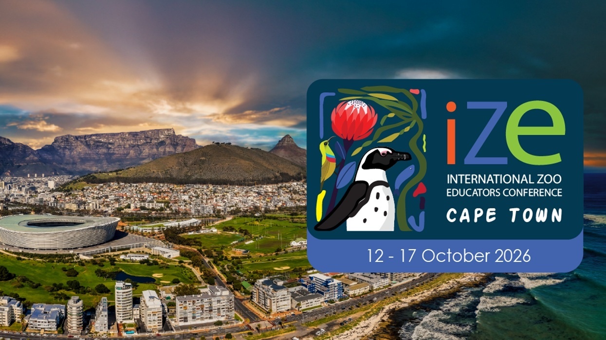 Cape Town skyline with IZE Conference 2026 logo; dates: 12-17 October.