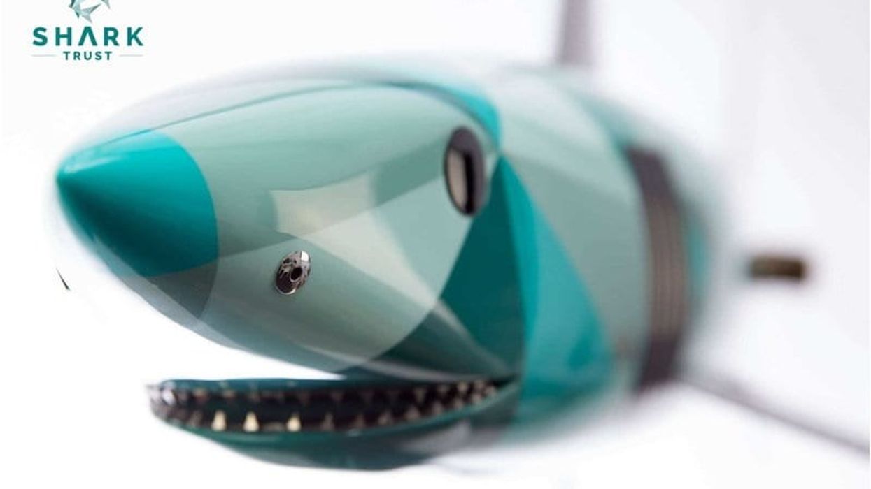carbon mako from shark trust