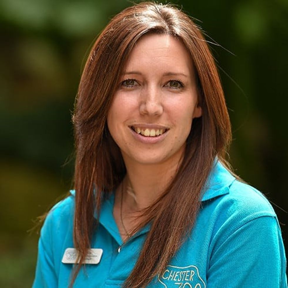 Cat-Barton-chester-zoo-greenloop