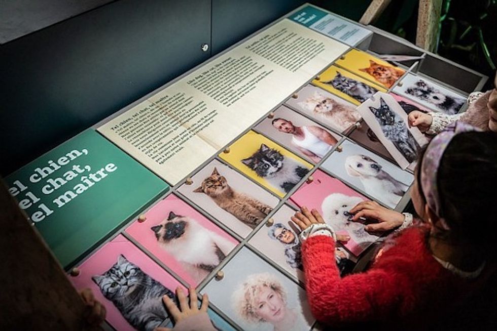 Cats and Dogs exhibition Universcience