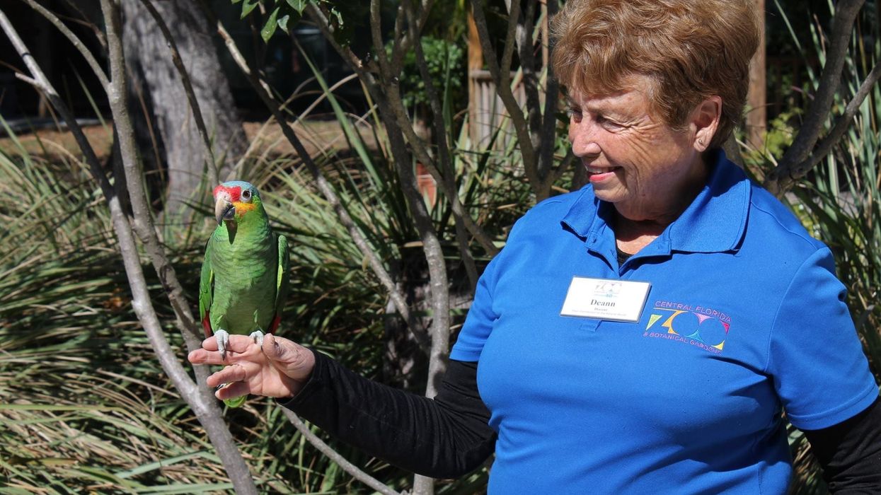 Central Florida Zoo expansion masterplan