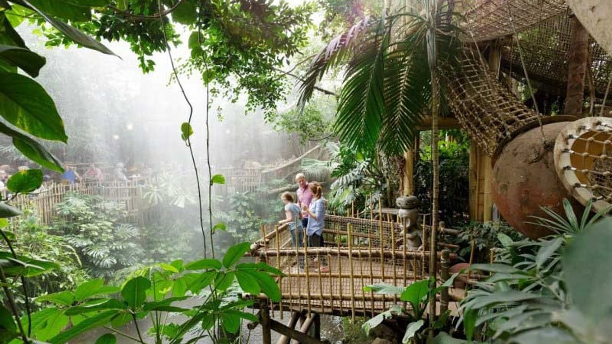 ceter parcs netherlands