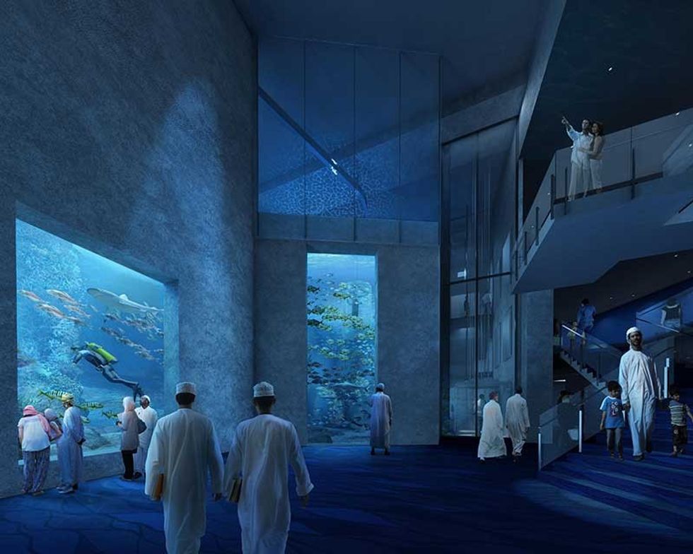Chasm Oman aquarium TGI