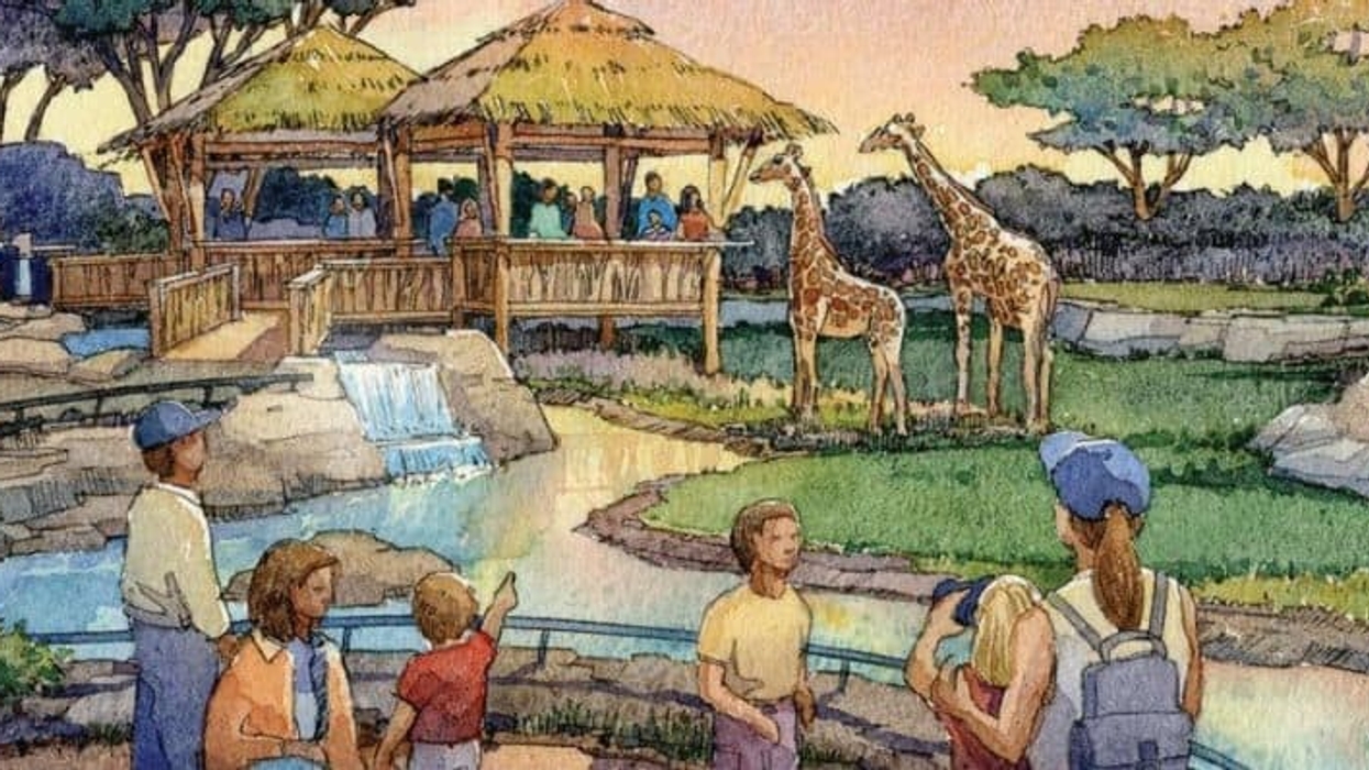 chattanooga zoo