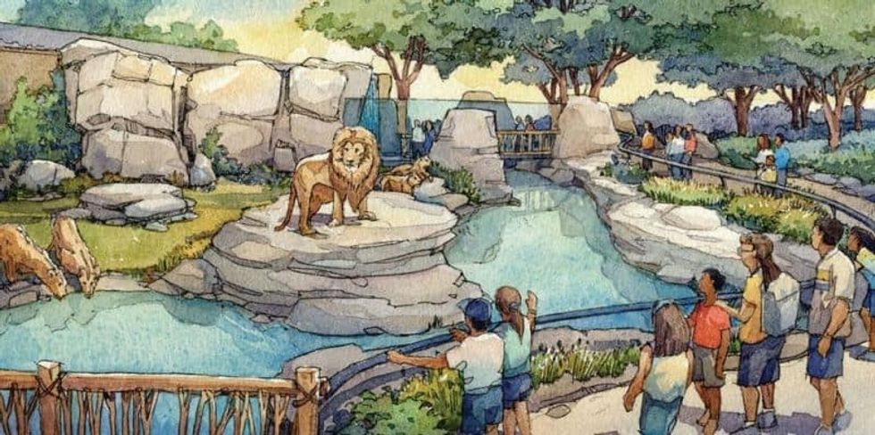 chattanooga zoo