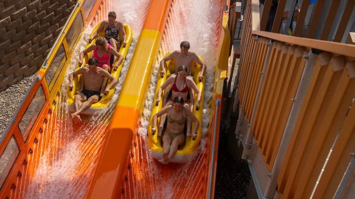 Cheetah Chase ProSlide Splashin Safari