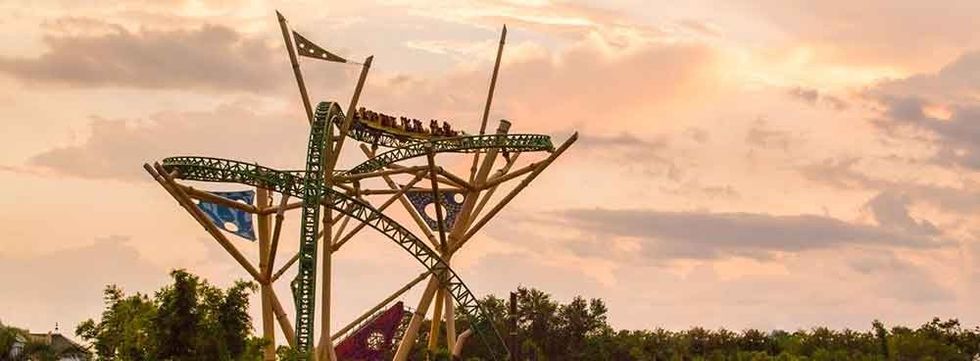 cheetah hunt busch gardens tampa bay SeaWorld