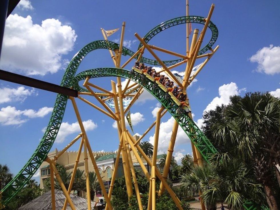 cheetah hunt rollercoaster bush gardens tampa bay