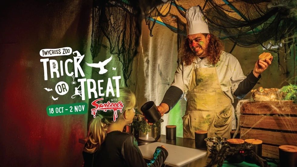 Chef in costume serves a child at Twycross Zoo's Trick or Treat event, October 18 - November 2.