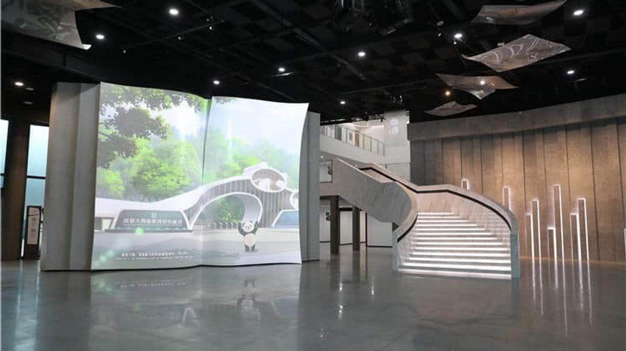 chengdu giant panda museum