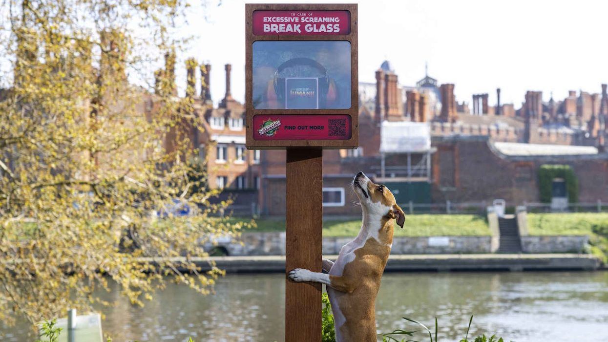 chessington jumanji coaster ear defenders