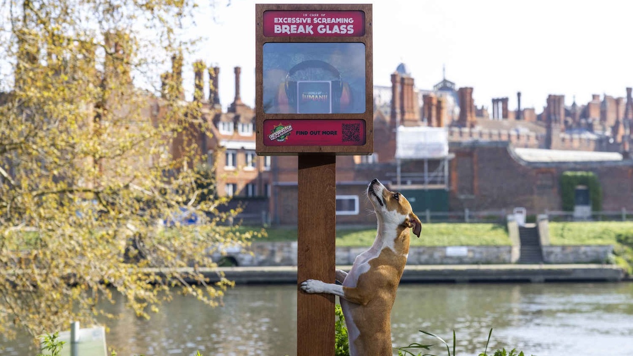 chessington jumanji coaster ear defenders