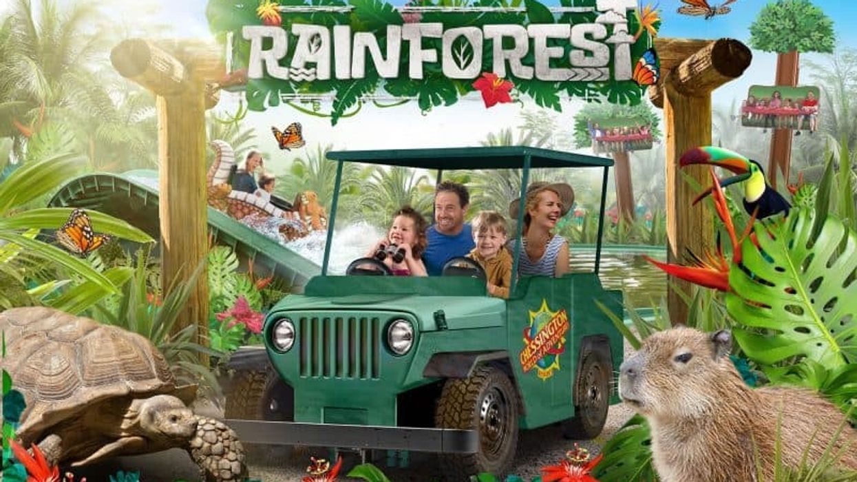 chessington rainforest land