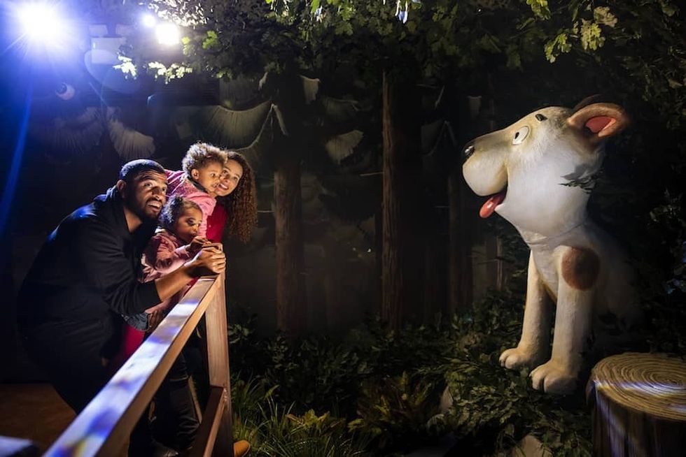 Chessington-Room-on-the-Broom-dog