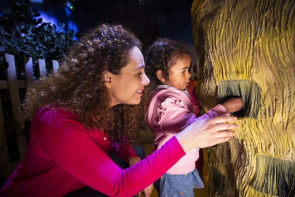 Chessington-Room-on-the-Broom-interactive